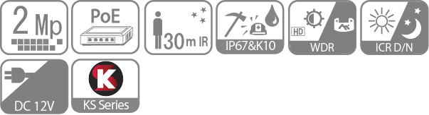 icon-IPS-KS-2MB06EAF