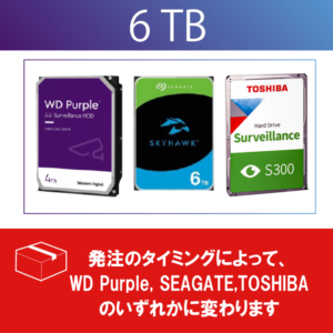 《HDD6TB①-》<br>監視カメラ専用HDD 初期設定・組込サービス込
