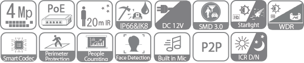 icon*IPS-NDM6204-4PTZ