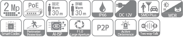 icon-IPS-NDM2248PT2W-AIC