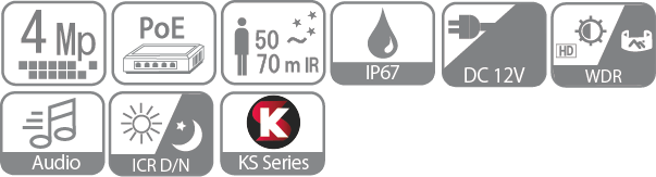 icon-IPS-KS-4100RAWP