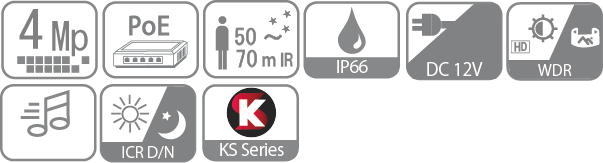 icon-IPS-KS-4100RAWP